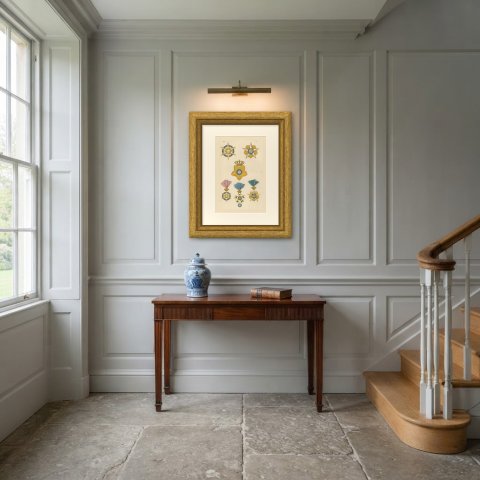 Orders of Brazil, Order of the Rose and Southern Cross, Plate XVI, 1844, shown framed in a room