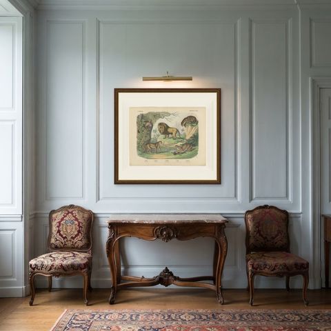 Antique Lion, Jaguar, Leopard and Cheetah Print, Big Cats by Kolb, circa 1890, shown framed in a room