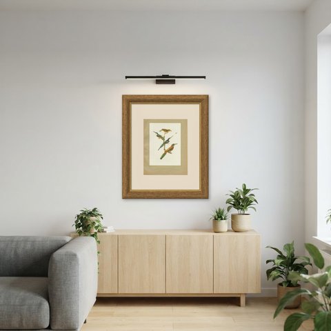 Jacamars and Motmots, Brazilian Bird Print, Descourtilz, 1944, shown framed in a room