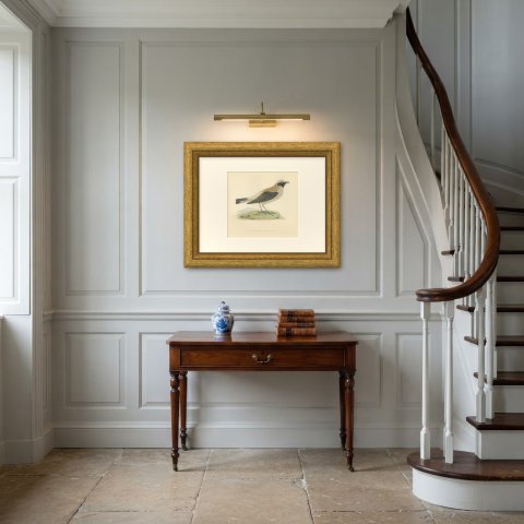 Black-Throated Wheatear on a Grassy Mound, Hand Colored Print, 1896, shown framed in a room