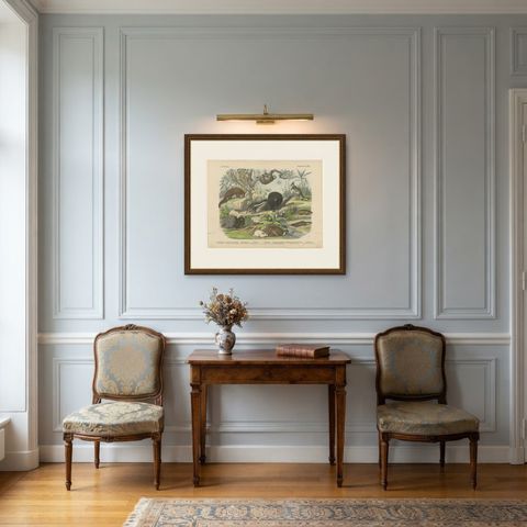 Antique Platypus, Anteater and Sloth Print with Pangolin, Kolb, circa 1890, shown framed in a room