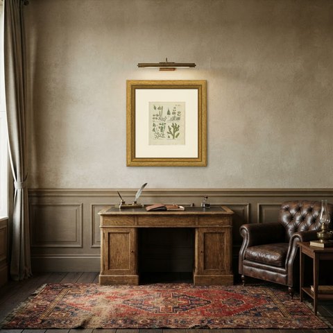 Hand-Colored Club Moss Engraving by Schkuhr, Lycopodium helveticum, 1806-1809, shown framed in a room