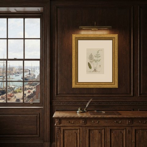 Elegant Antique Hand-Colored Fern Print, Cheilanthes tenuifolia, 1806-1809, shown framed in a room