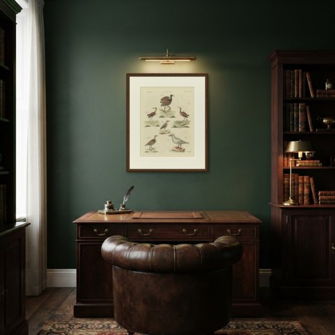 Jacanas and Wading Birds with Long Toes, Antique Bertuch Print, circa 1805, shown framed in a room