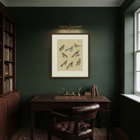 Eight Cuckoos from Around the World, Antique Bertuch Print, circa 1805, shown framed in a room