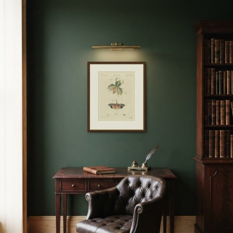 Walking Leaf and Chinese Lantern Fly, Antique Bertuch Print, Vienna, circa 1805, shown framed in a room