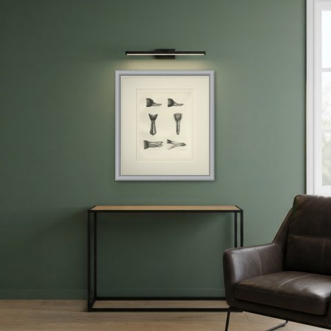 Six Studies of Duck Heads and Bills, Plate CXCVI after Lilian Medland, c. 1909, shown framed in a room