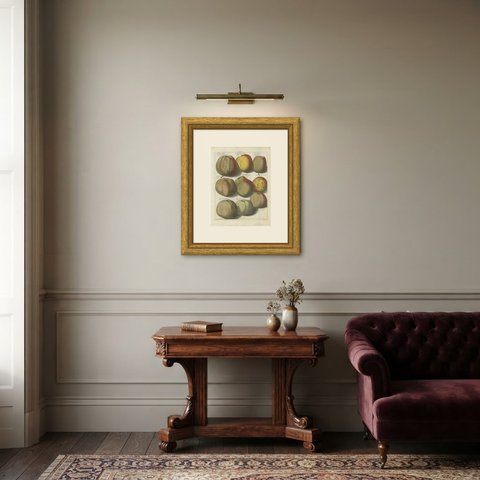 Knoop Apple Engraving with Framboos-Appel and Soete Dolphyn, 1790, shown framed in a room