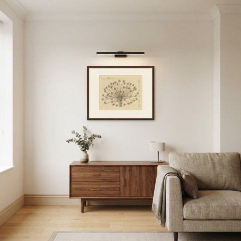 Brunsvigia Candelabra Lily Flower Head, Antique Bertuch Print, circa 1815, shown framed in a room