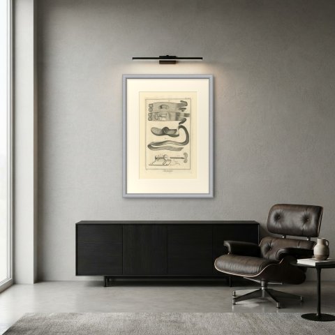 Straps and Ratchet Apparatus, Diderot Chirurgie Plate XXXII, circa 1772, shown framed in a room