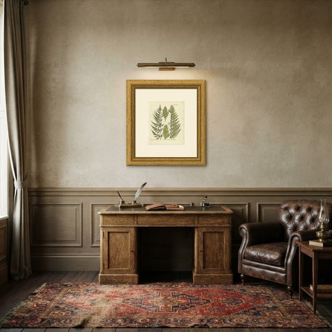 Elegant Antique Hand-Colored Botanical Fern Print, Asplenium furcatum, 1806-1809, shown framed in a room
