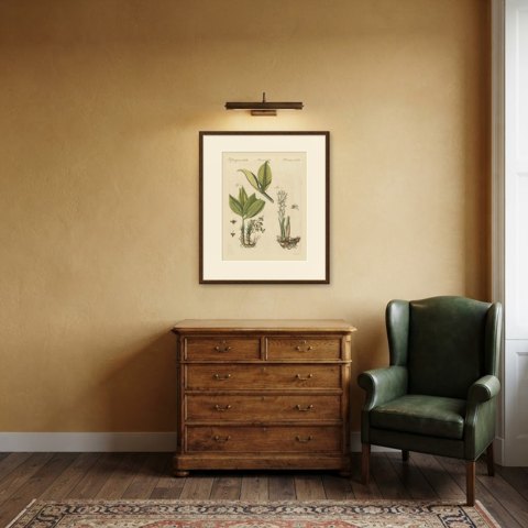 Zedoary and Grains of Paradise Spice Plants, Antique Bertuch Print, circa 1805, shown framed in a room