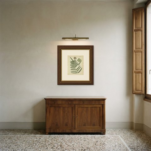 Antique Hand-Colored Fern Engraving by Schkuhr, Aspidium gongylodus, 1806-1809, shown framed in a room