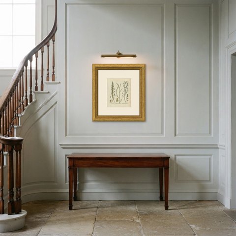 Elegant Antique Hand-Colored Fern Print, Tmesipteris Tannensis, 1806-1809, shown framed in a room