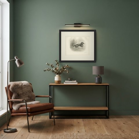 Ferruginous Duck Drake among Reeds, Plate CLXXXI after Lilian Medland, c. 1909, shown framed in a room