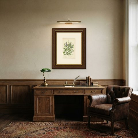 Nine Speedwells Including Germander, Antique Pratt Flower Plate, circa 1873, shown framed in a room