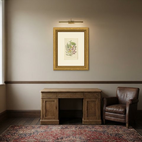 Mezereon and Birthwort, Antique Flowering Shrub Print, Pratt, circa 1873, shown framed in a room