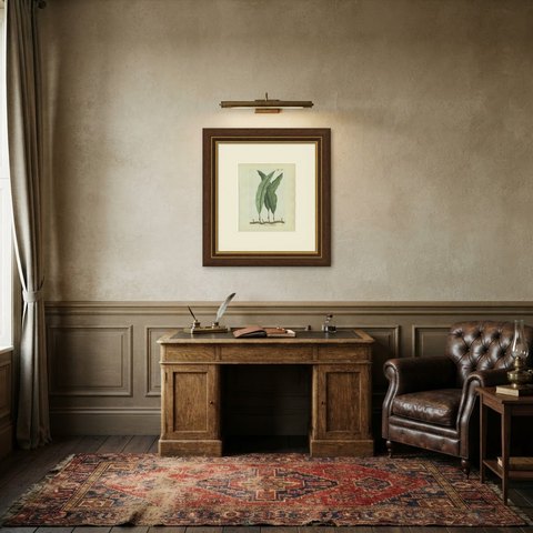 Antique Hand-Colored Fern Engraving by Schkuhr, Aspidium articulatum, 1806-1809, shown framed in a room