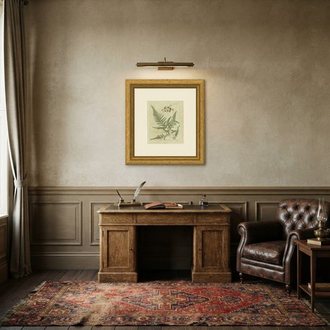 Elegant Antique Hand-Colored Botanical Fern Print, Aspidium depastum, 1806-1809, shown framed in a room