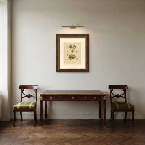 Caterpillars, Moths and a Slender Winged Insect, Albin Plate 99, 1720, shown framed in a room