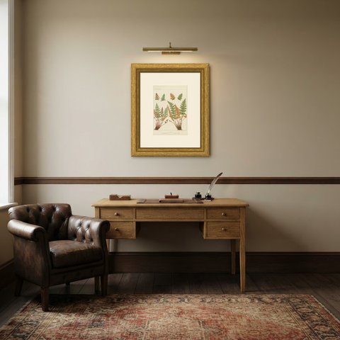 Antique Botanical Chromolithograph of Mediterranean Lip Ferns, circa 1885, shown framed in a room