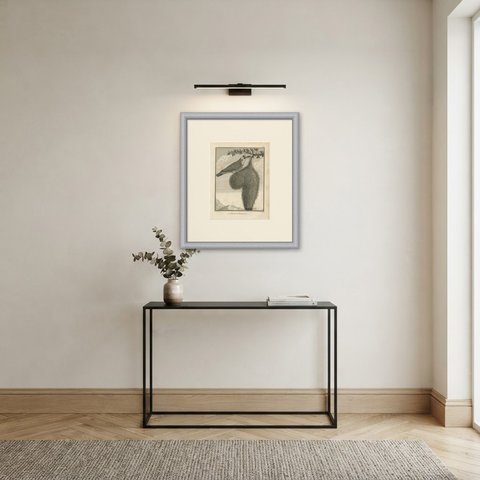 Nelicourvi Weaver with Hanging Nest, Antique Madagascar Plate, 1806, shown framed in a room