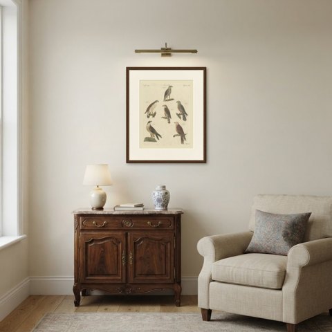 Falcons and Hawks including the Peregrine, Antique Bertuch Print, circa 1805, shown framed in a room