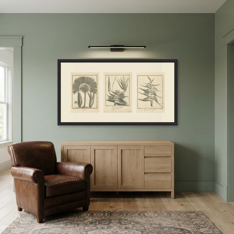 Ravenala, the Traveler's Tree, Three Antique Botanical Plates, 1806, shown framed in a room