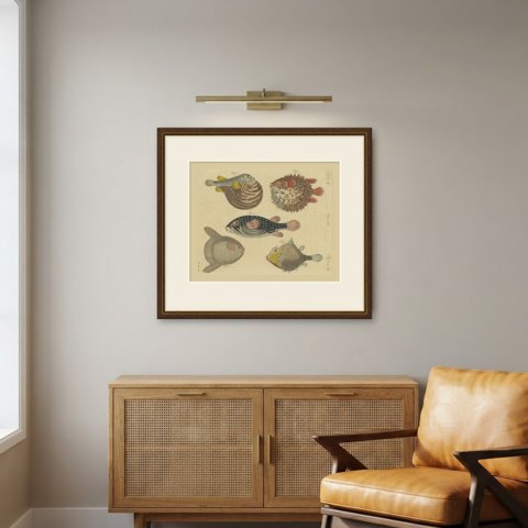 Pufferfish, Porcupinefish and Ocean Sunfish, Antique Bertuch Print, circa 1805, shown framed in a room