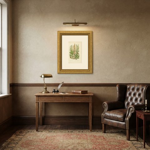 Lady's Tresses and Twayblade, Antique British Orchid Plate, circa 1873, shown framed in a room
