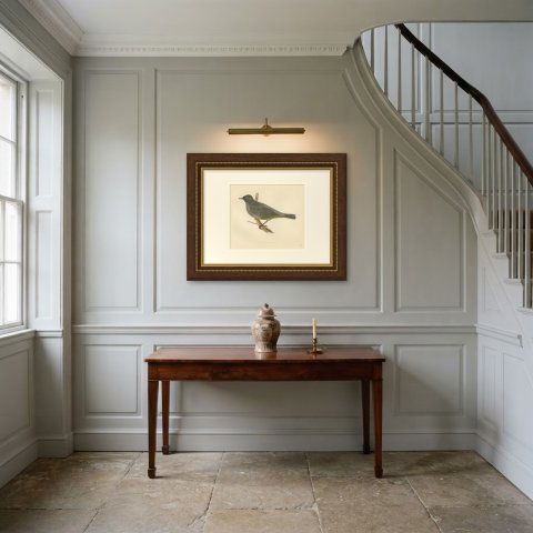 Gold Vented Thrush on a Branch, Antique Hand Colored Bird Print, 1896, shown framed in a room
