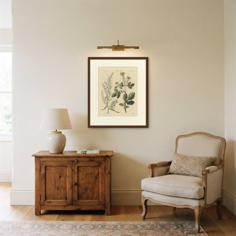 Yellow Crucifer and Slender Flowering Herb, Antique Bertuch Print, circa 1805, shown framed in a room