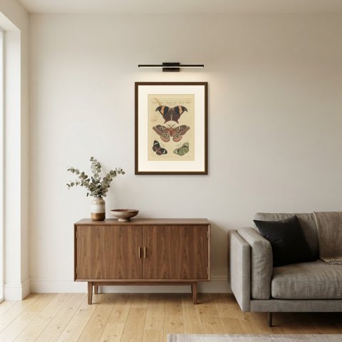 Exotic Butterflies and Saturniid Moth, Antique Bertuch Print, Vienna, circa 1815, shown framed in a room