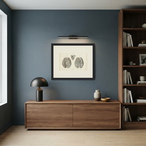 The Base of the Brain Dissected, Antique Hirschfeld Anatomy Print, 1866, shown framed in a room
